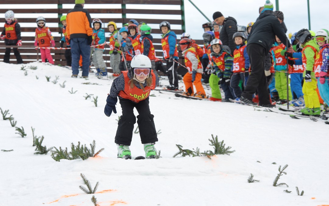 Rezultati OP v smučarskih skokih, Sebenje 19.1.2017